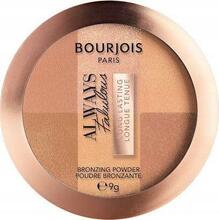 Pruunistav puuder Bourjois Always Fabulous 001, 9 g